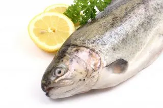Le saumon, un poisson gras riche en omega-3