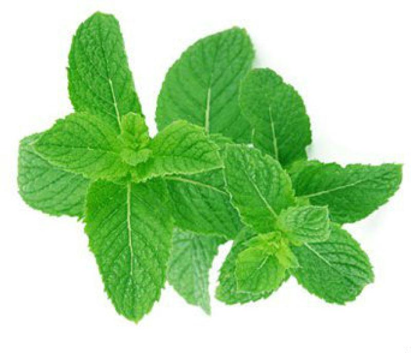 Glace menthe