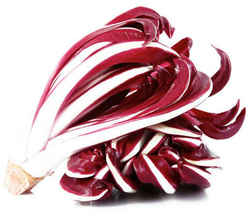 Chicorée rouge