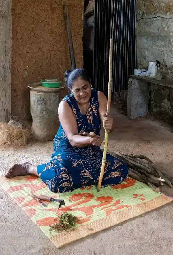 Bâton de cannelle