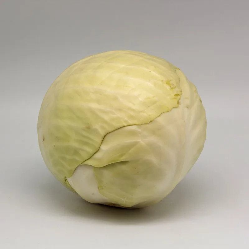 Choux blanc