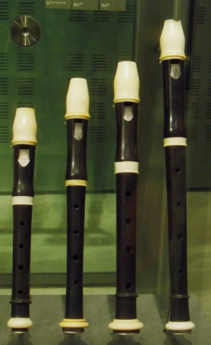 Flageolet cuit