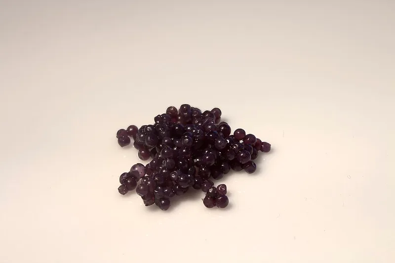 Oeuf de lump