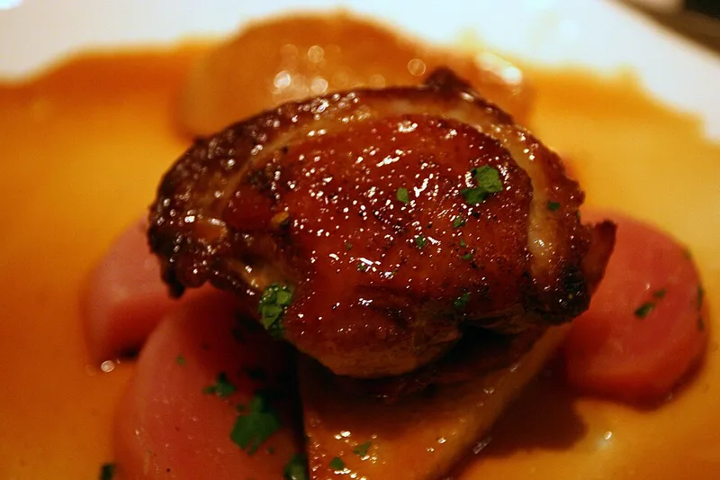 Pigeon
