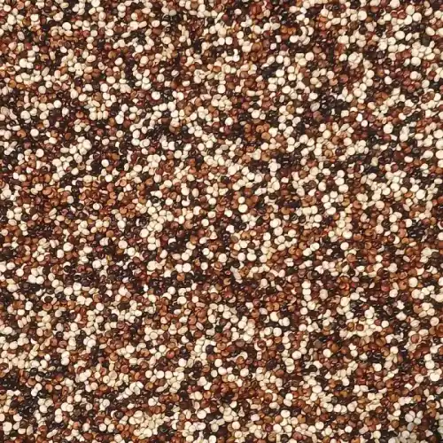 quinoa