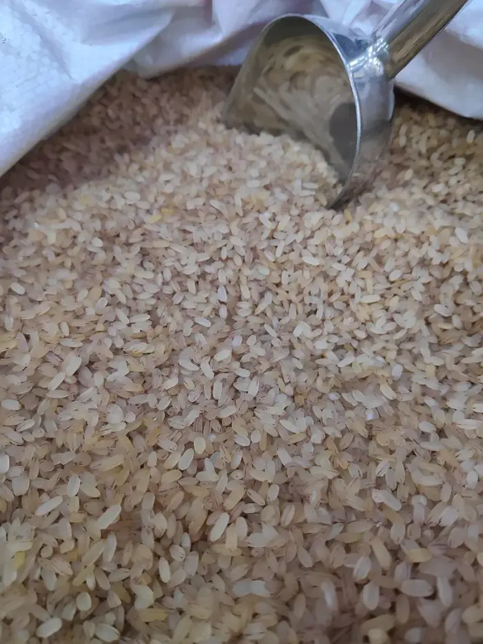 Riz complet